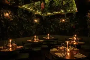Salle de restaurant insolite à Paris au décor végétal luxuriant et lumière tamisée