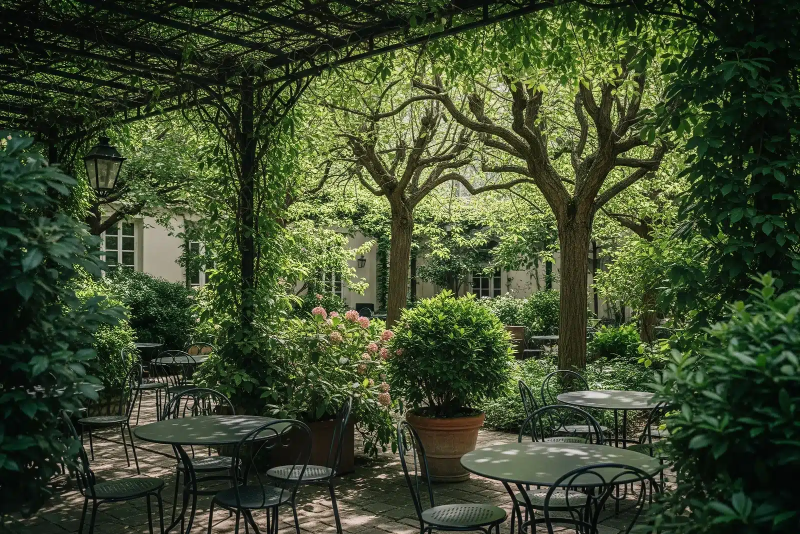 Terrasse ombragée sous une pergola de verdure dans une cour parisienne