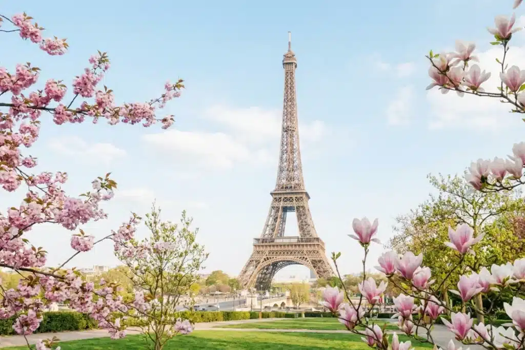 La tour Eiffel à Paris au printemps, cerisiers et magnolias en fleurs au premier plan